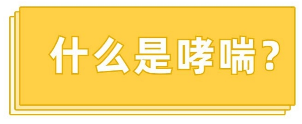 3c3161b7b6674c3f8d2acb5dd59e0b8f_b