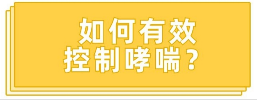 3f336afce80444a4a46982e5695ce866_b